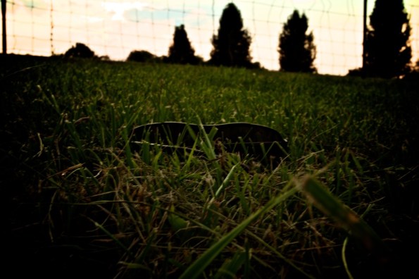 2011-08-20_at_19-45-36