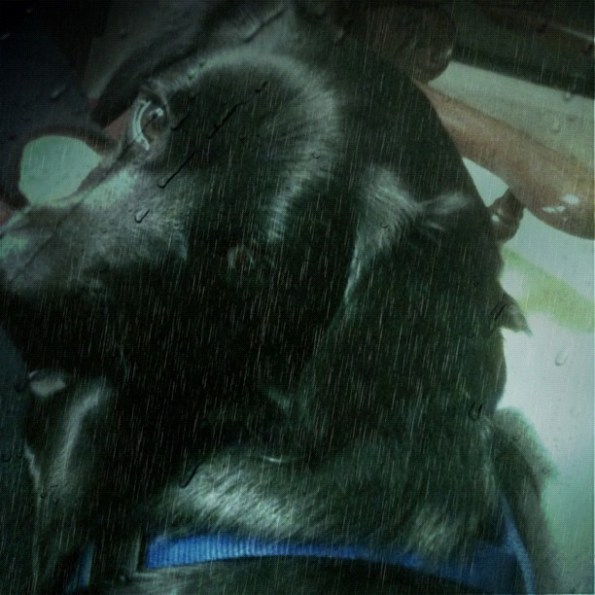 Media_httpdistilleryi_kjhod