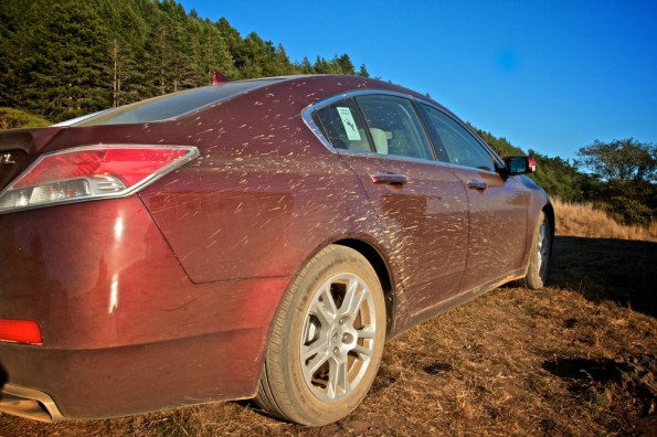 Ba_camping_pics_fall_2011_sinkyone_079