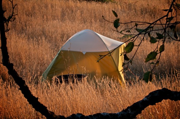 Ba_camping_pics_fall_2011_sinkyone_095