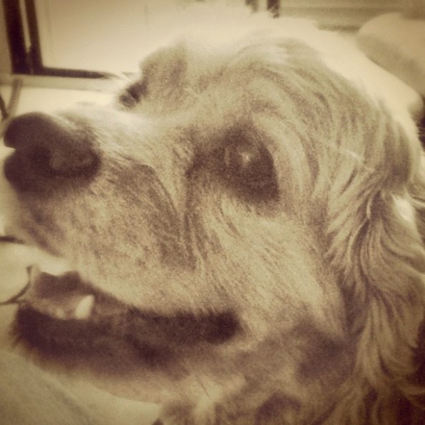 Media_httpdistilleryi_fcjlz