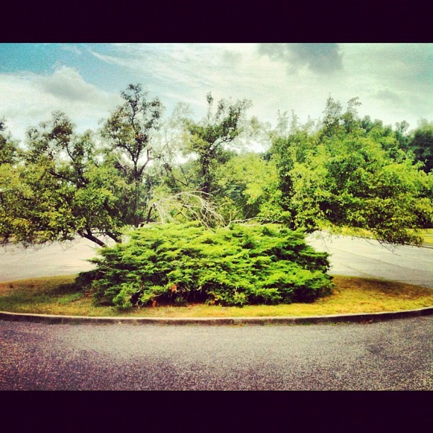 Media_httpdistilleryi_sanjh