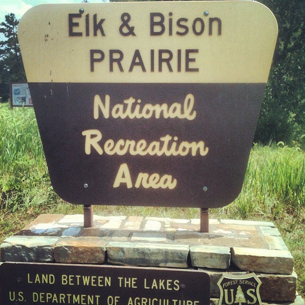 Media_httpdistilleryi_vsdzd