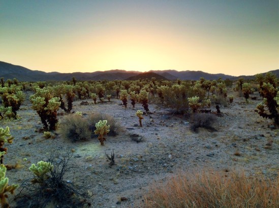 2013-03-21 18.49.19-1