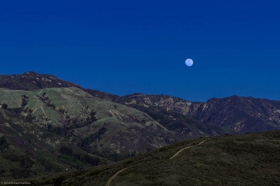 Looking Into Big Sur