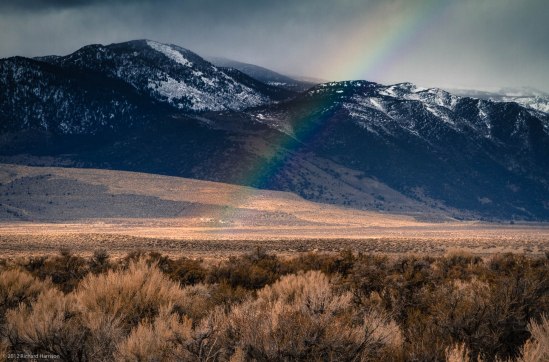 Rainbows Without Borders